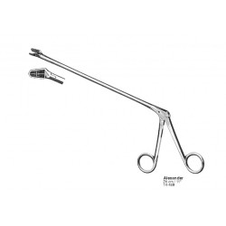 Gynecology, Obstetrics